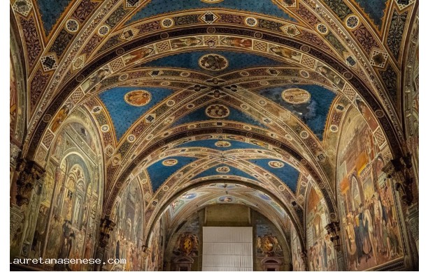 Affreschi del Pellegrinaio al Santa Maria della Scala - particolari