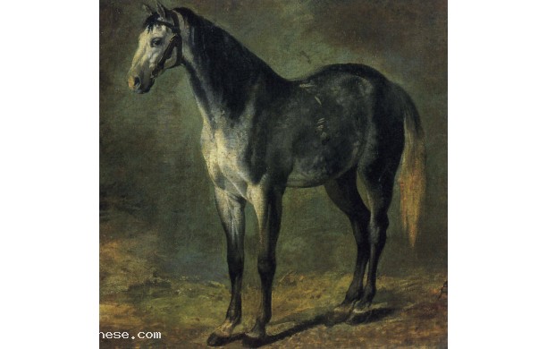 Il cavallo grigio