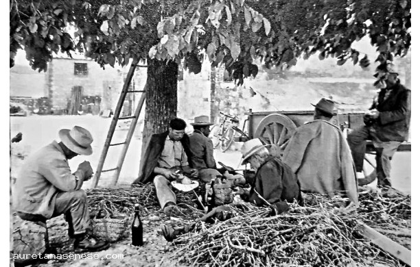 1958 - Pausa pranzo sotto un albero di gelso