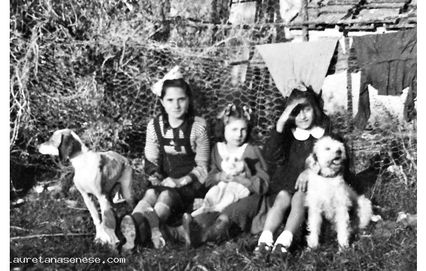 1964? - Bambine e cani in campagna