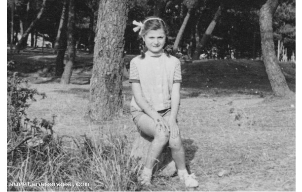 1960 - Beatrice in pineta a Montalcino