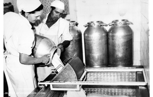 1970' - Riversamento mattutino del latte conferito