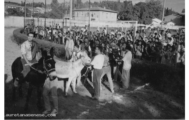 1994 - I ciuchi poco prima della partenza