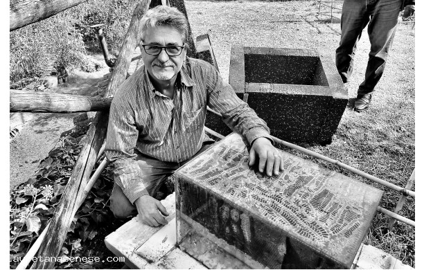 2024, Domenica 6 Ottobre: L'uomo che sussurra alle api