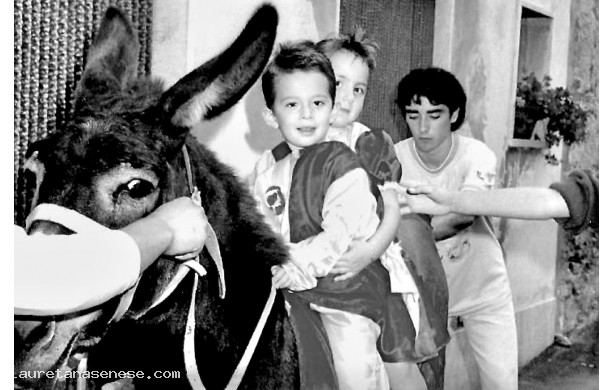 1990 - Cittini della Corona in groppa al ciuco, prima della corsa
