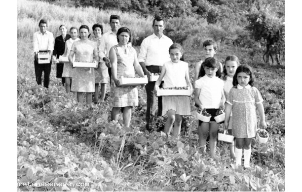1960 ? - Tutti i Galotta a raccogliere le loro fragole