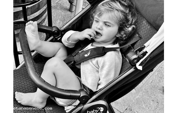 2023, Domenica 8 Ottobre - L'erede di casa Donati