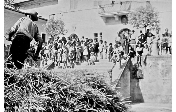 1940 - La tribbiatura del grano in Piazza Garibaldi, dettagli