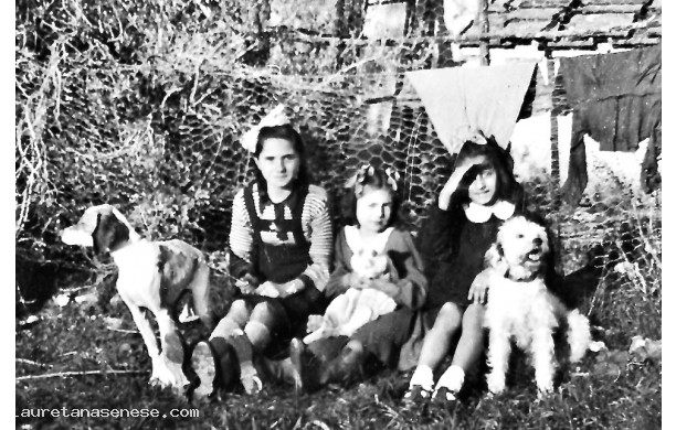 1964? - Bambine e cani in campagna