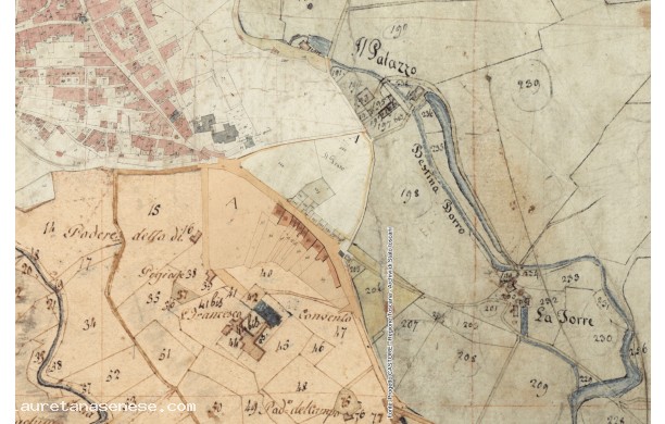 1813 - Mappa del sobborgo di Prato - Catasto Storico Regionale