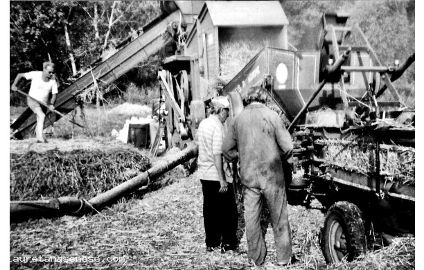1960 - Ultime trebbiature a fermo nell'aia