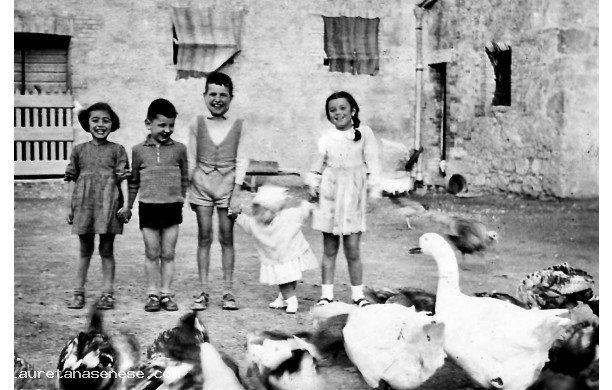 1952 - Bambini e animali nell'aia del Palazzo