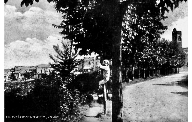 1938? - La Via Nova con tanti alberi di Tiglio