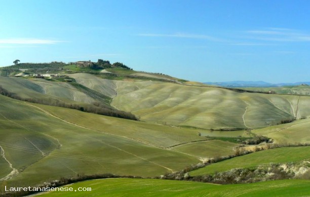 Tour N°2 del chianti e delle crete senesi