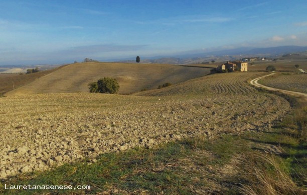 Ancient driveway for Serre of Rapolano