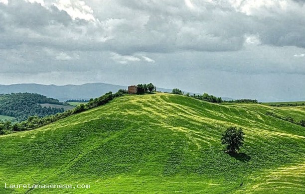 Dalla Pievina alla Causa e ritorno