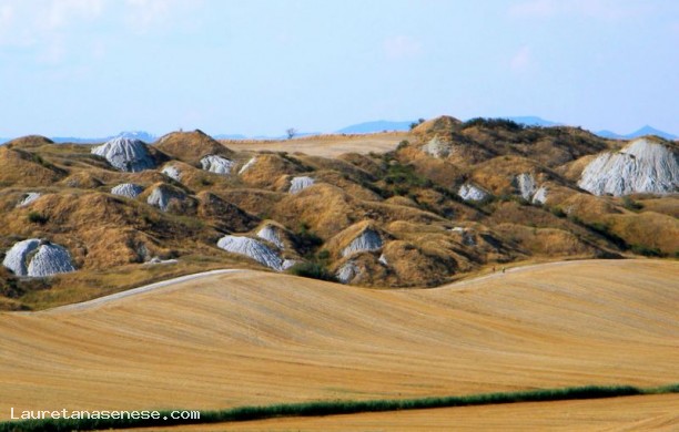 Tour N°1 del chianti e delle crete senesi