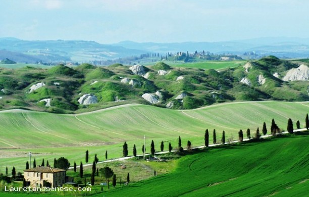 Tour n°2 - Attraverso le colline del bacino del fiume Ombrone