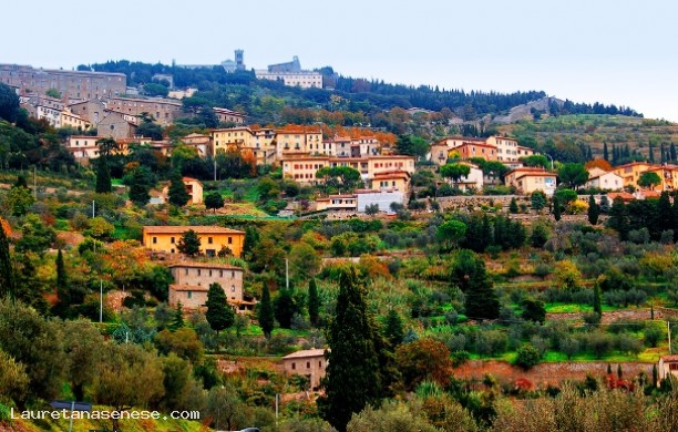 Through the countryside of Cortona