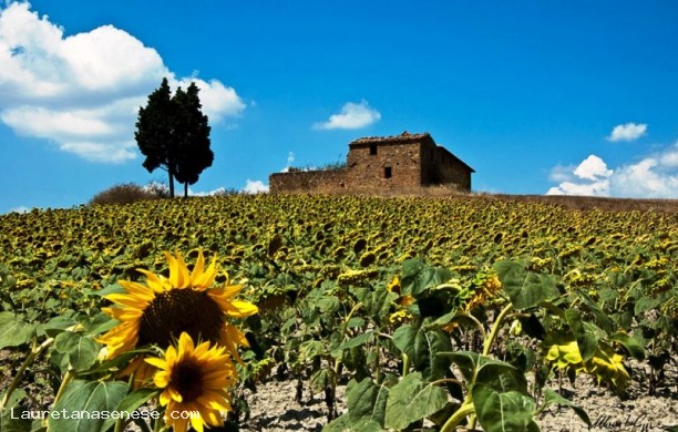 Da Montepulciano a Monticchiello