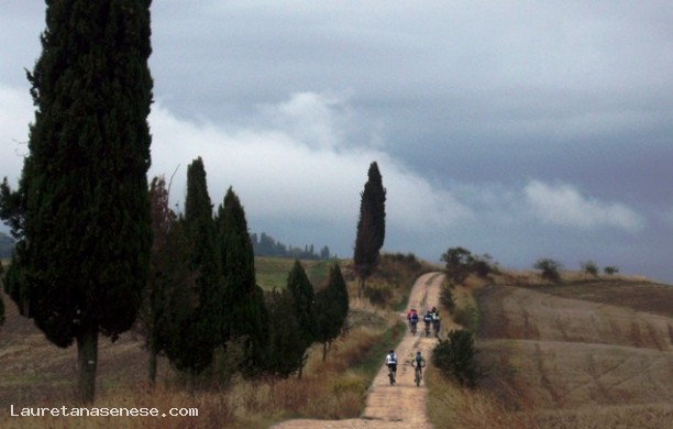Between Val d'Arbia and Val d'Asso through Chiusure