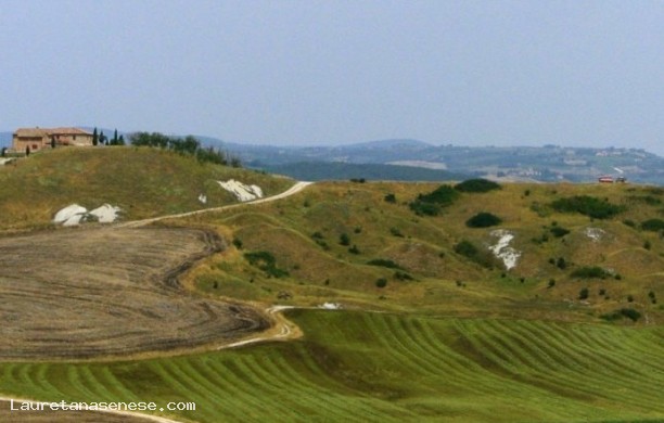 Mammelloni di Leonina