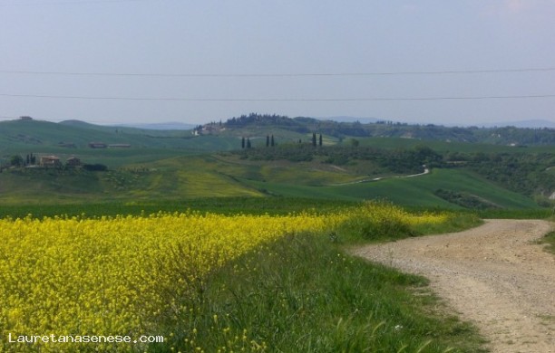 Ombrone Valley Forge of Poggetti, Casella, La Costa