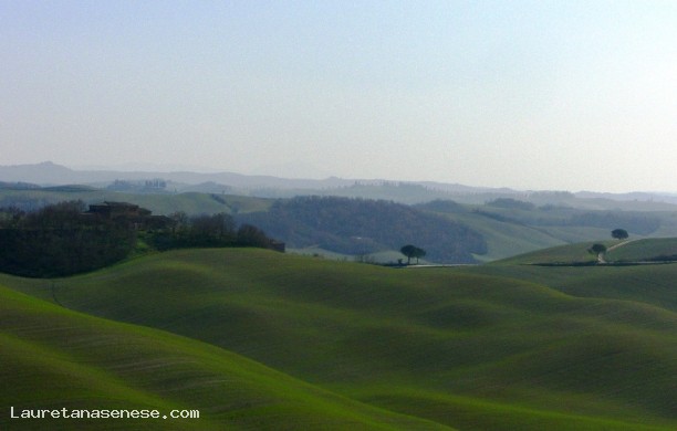 Overview of Siena froom Camposodo and Medane