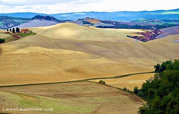 Giro dall'Ombrone a Badia Rofeno