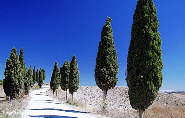 Strada bianca di Medane