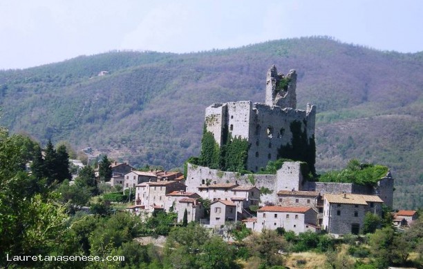 Rocca di Pierle