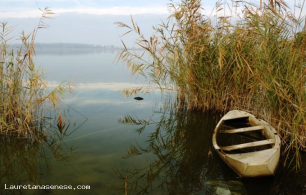 Lago di Montepulciano - Oasi protetta della LIPU