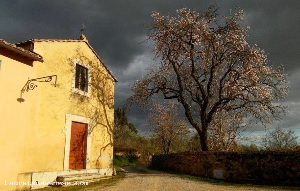 Chiesina dei Santi Alberto e Sabino