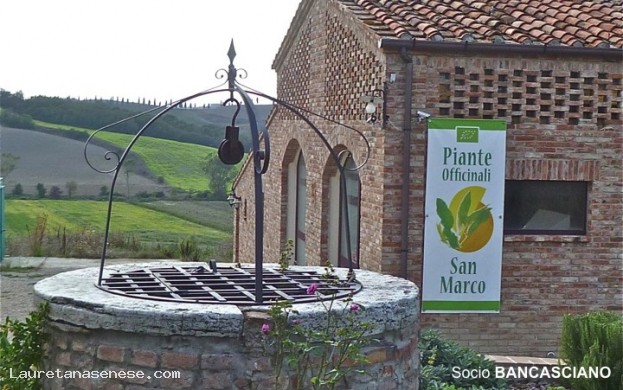 Piante Officinali San Marco