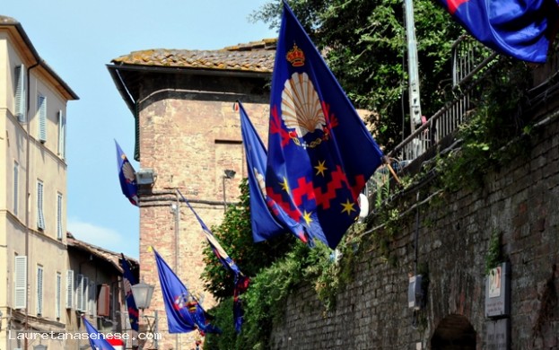 Nobile Contrada del Nicchio