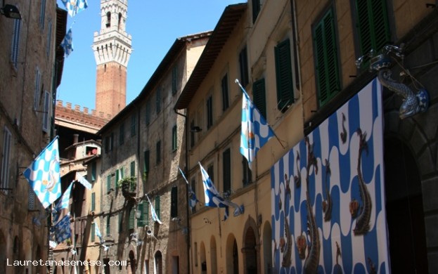 Contrada Capitana dell'Onda