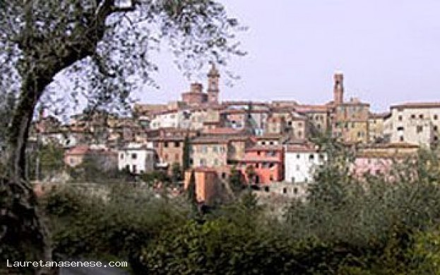 Immagine principale